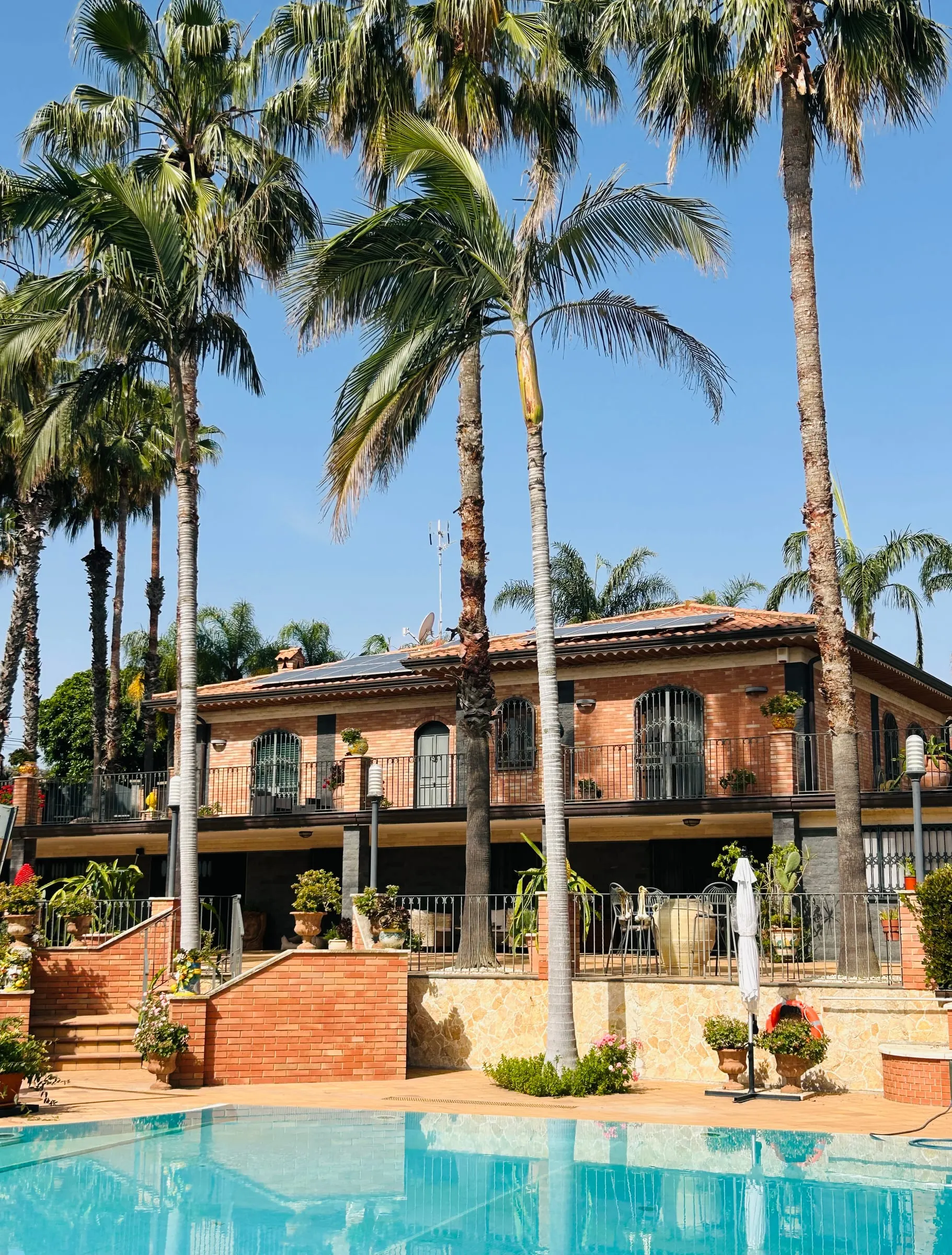 The villa seen from the pool through the palm trees