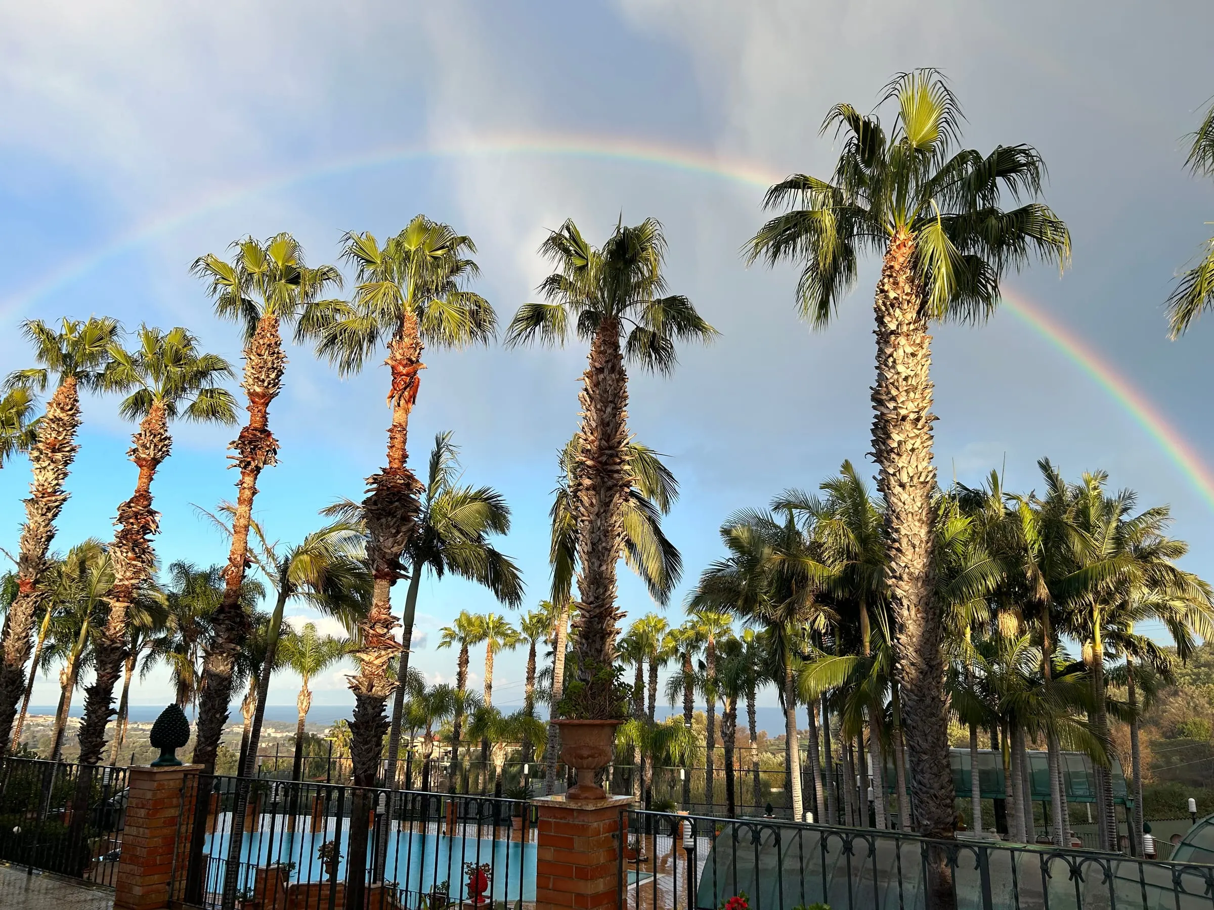Rainbow over the palm trees of the park