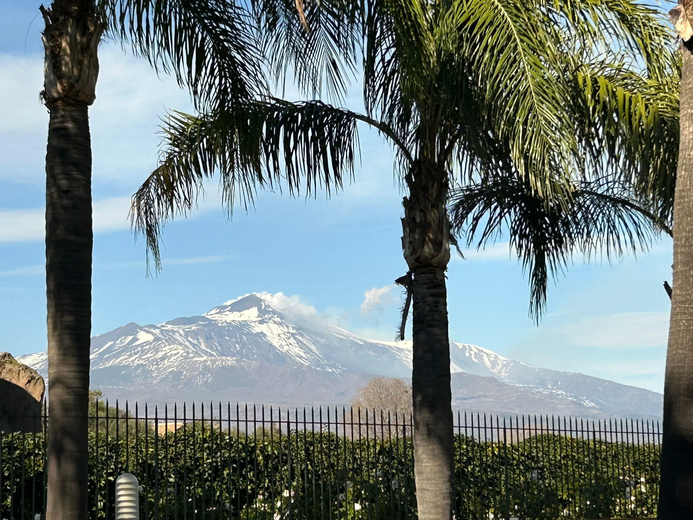 Snow-capped Mount Etna framed by palm trees