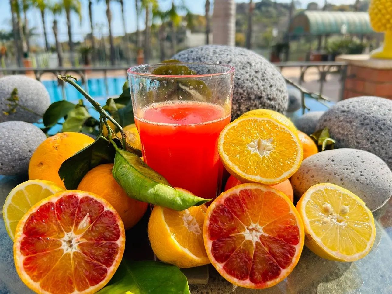 Freshly squeezed blood orange juice and garden citrus by the pool