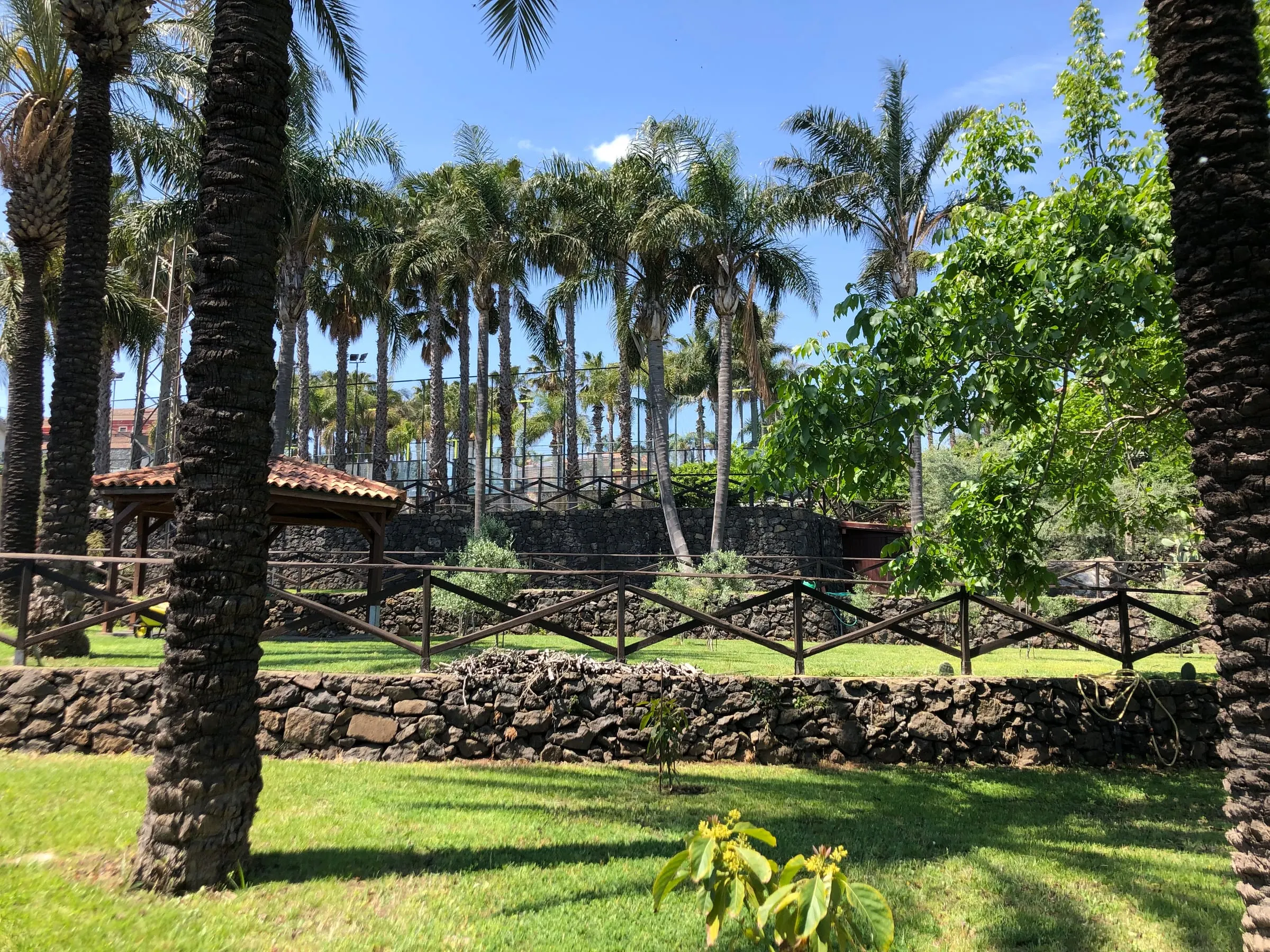 The park with palm trees and lava stone walls