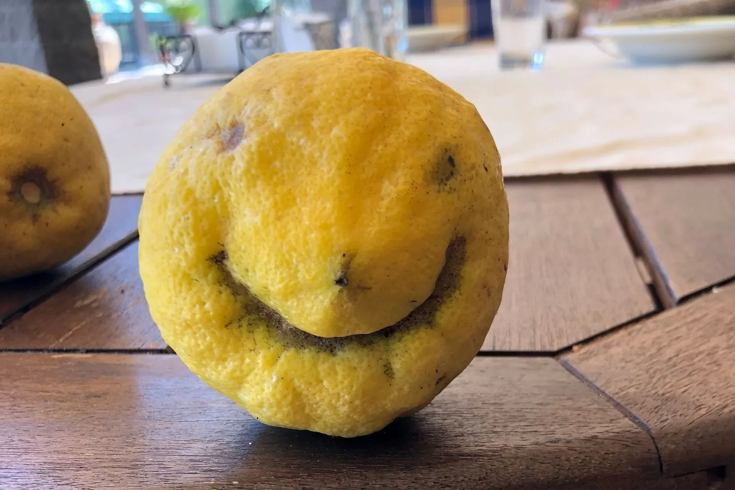 Smiling lemon from the garden