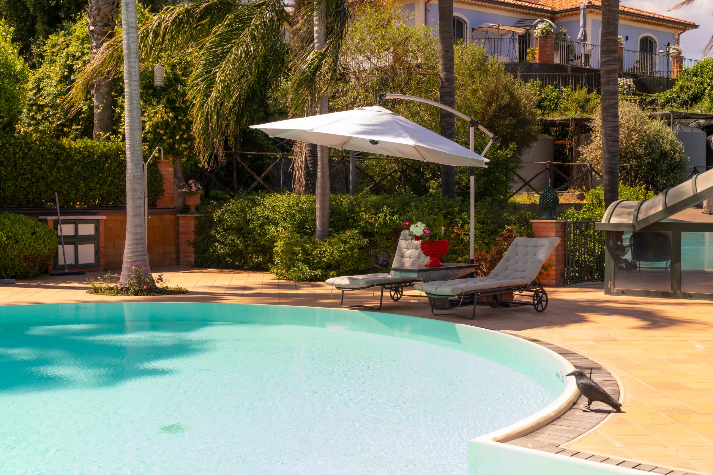 Swimming pool detail