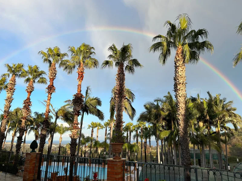 Arcoíris sobre las palmeras del parque