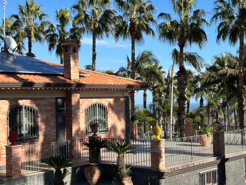 La dependencia de ladrillo entre las palmeras